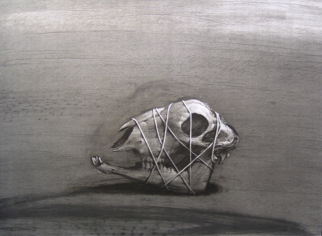 Youssef Abdelké, Crâne ligoté, 2007. Fusain sur papier, 107 x 147 cm. Collection privée. © Youssef Abdelke. Courtesy Galerie Claude Lemand, Paris